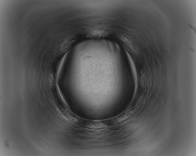 X0000097820459200803281125