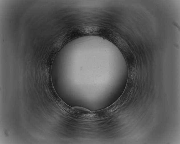 X0000097820461200803281125