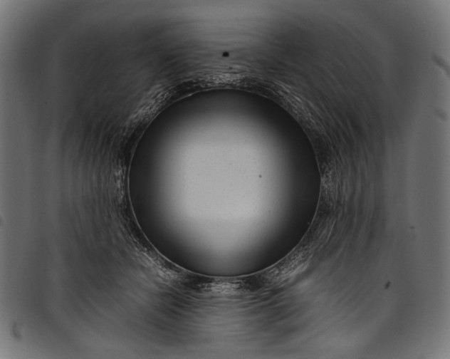 X0000097820462200803281125