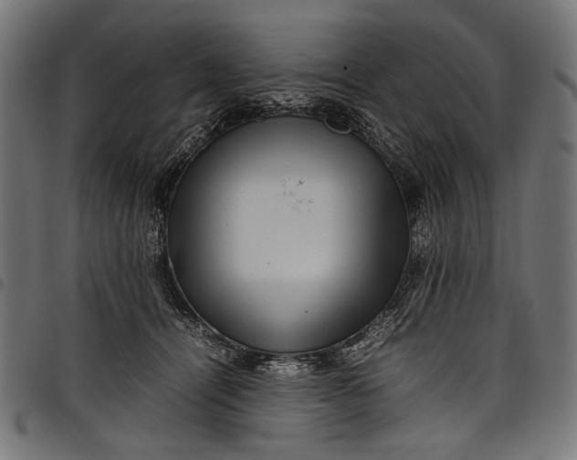 X0000097820464200803281125