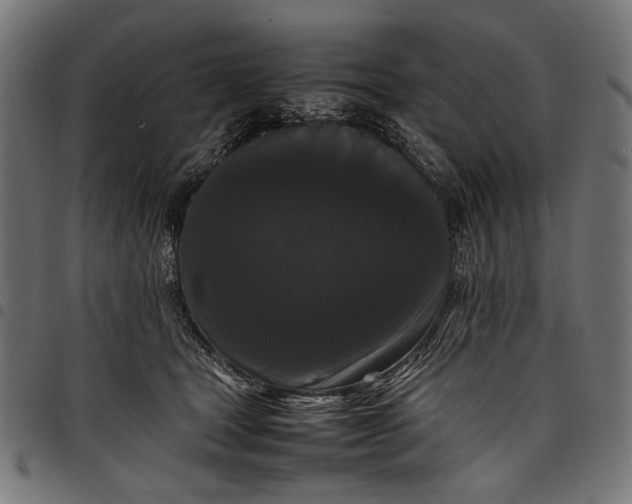 X0000097820465200803281125