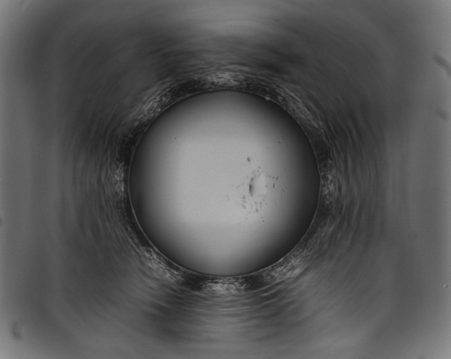 X0000097820466200803281125