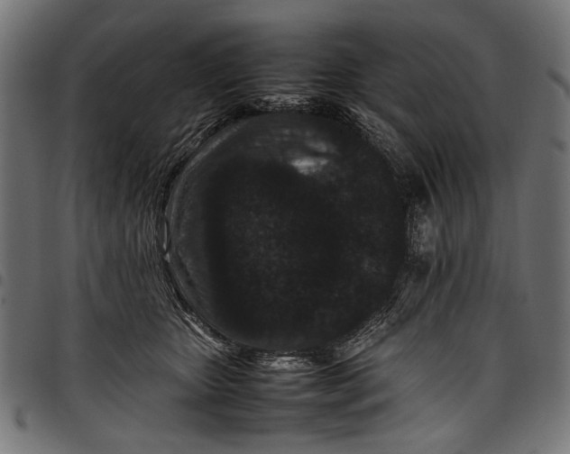 X0000097820467200803281125