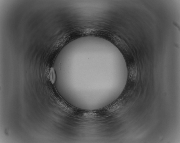 X0000097820470200803281125