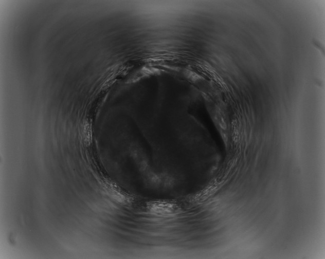 X0000097820471200803281125