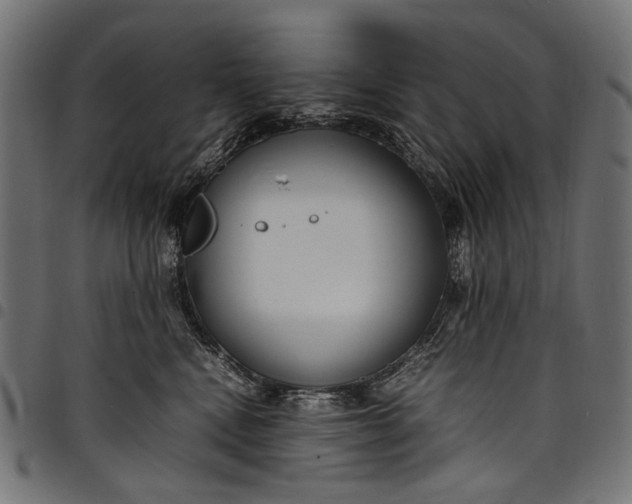 X0000097820472200803281125