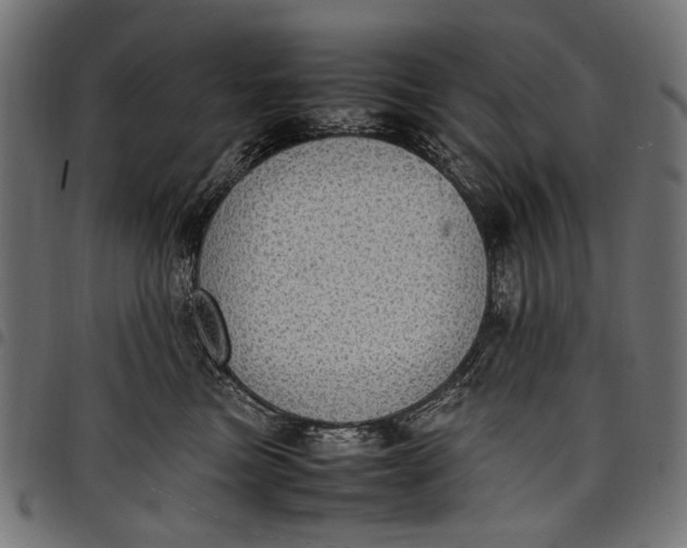 X0000097820473200803281125