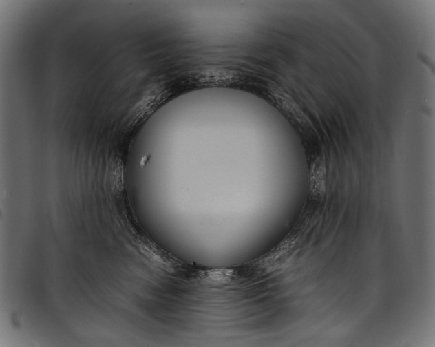 X0000097820474200803281125