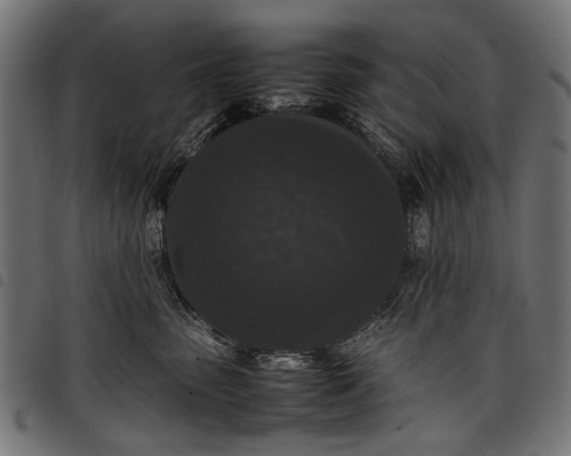 X0000097820475200803281125