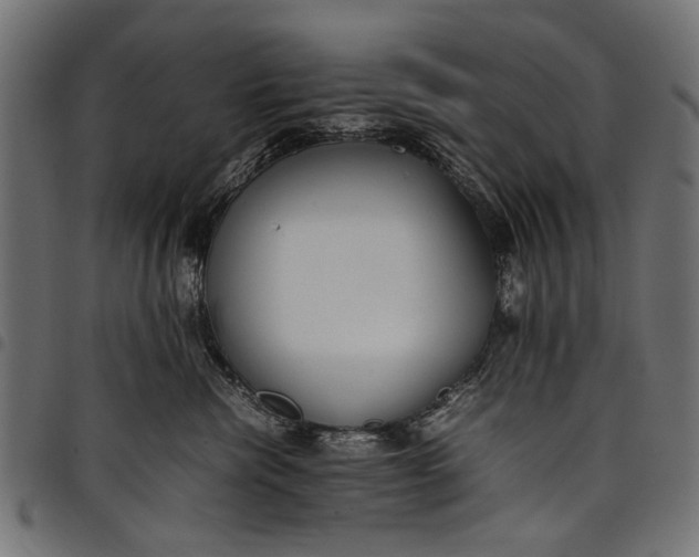 X0000097820476200803281125