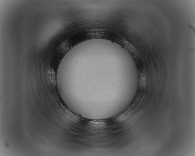 X0000097820477200803281125