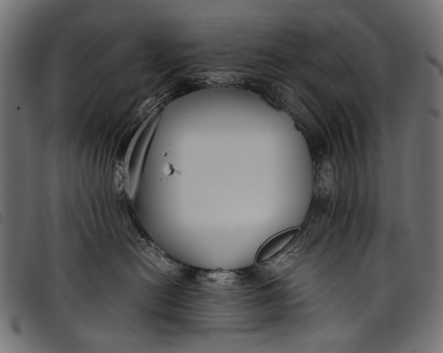 X0000097820478200803281125