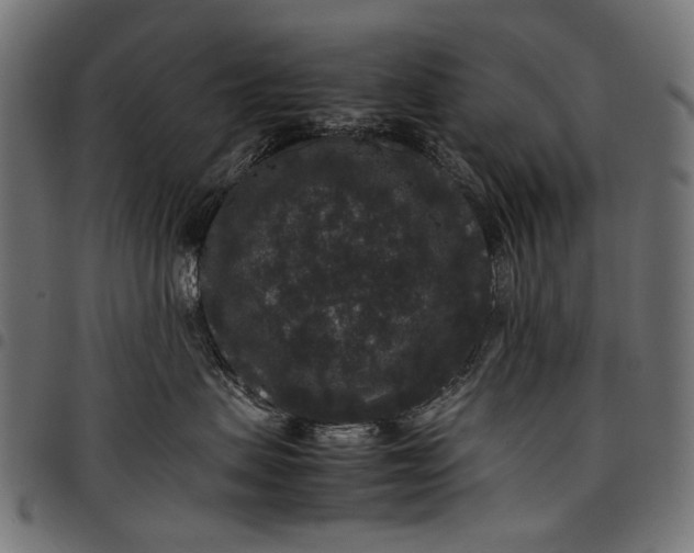 X0000097820479200803281125