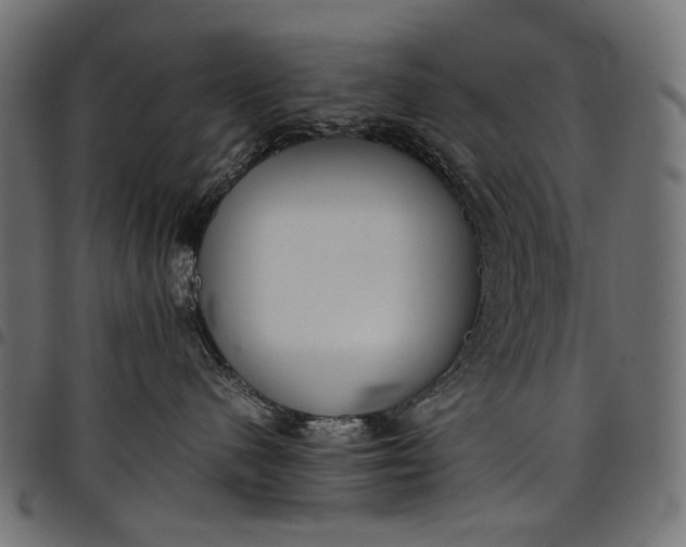 X0000097820480200803281125