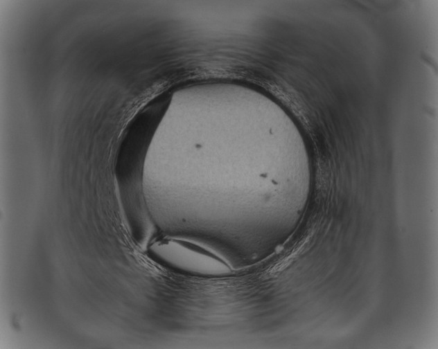 X0000097820481200803281124