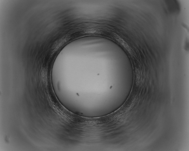 X0000097820482200803281124