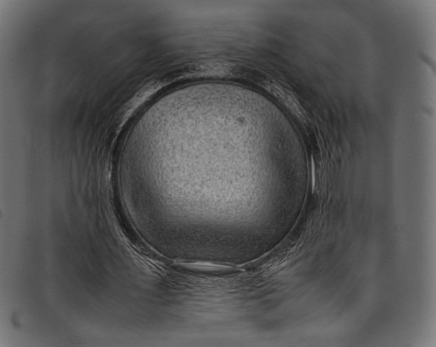 X0000097820483200803281124