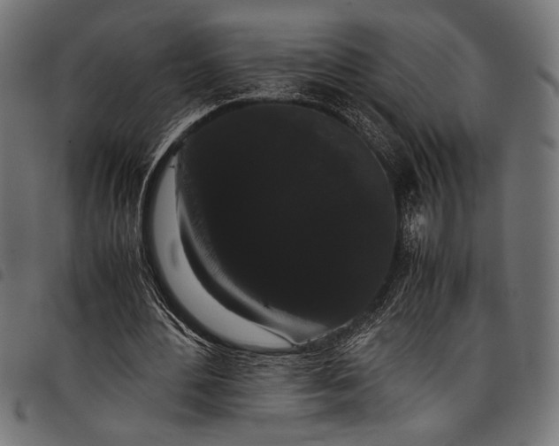 X0000097820484200803281124