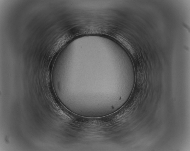 X0000097820485200803281124