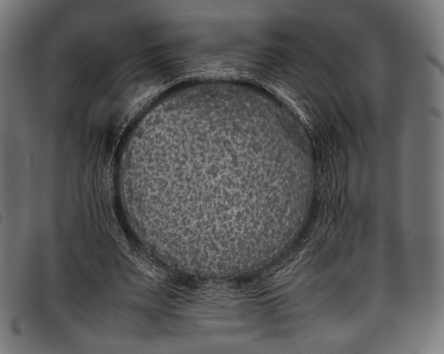 X0000097820487200803281124