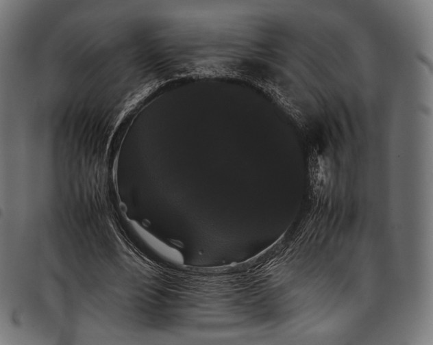 X0000097820488200803281124