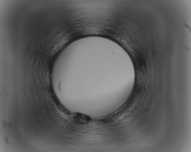 X0000097820489200803281124