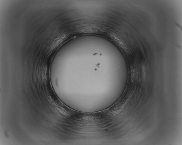 X0000097820490200803281124