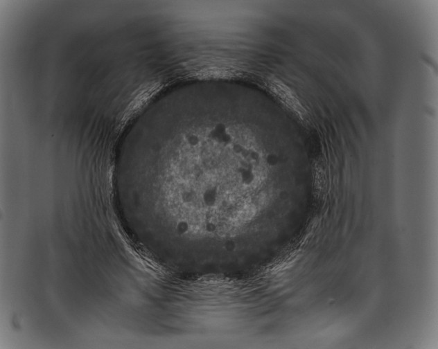 X0000097820491200803281124