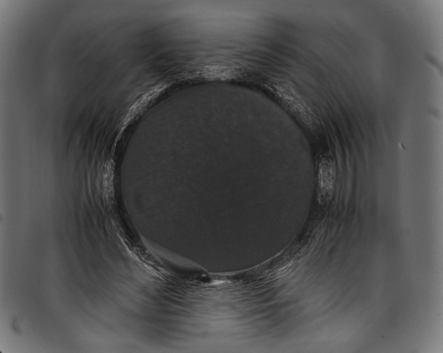 X0000097820492200803281124