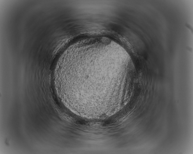 X0000097820495200803281124