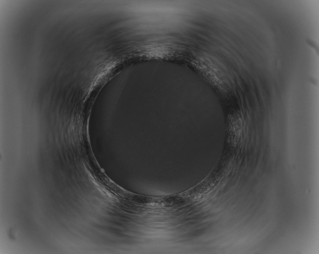 X0000097820496200803281124