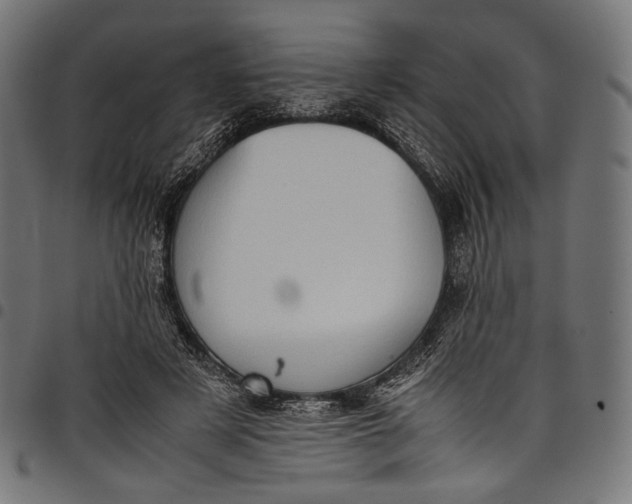 X0000097820497200803281124