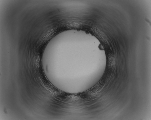 X0000097820498200803281124