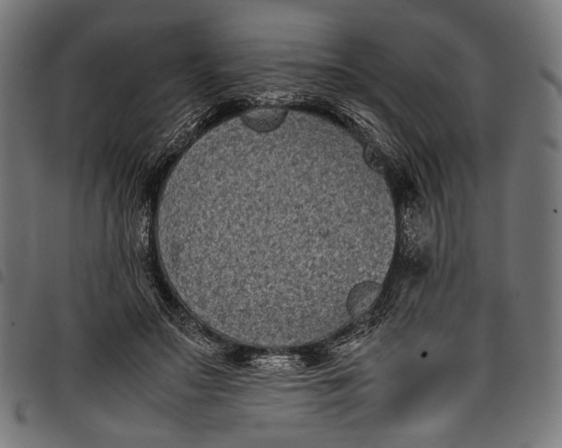 X0000097820499200803281124