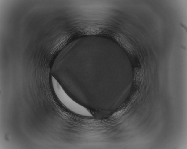 X0000097820501200803281124