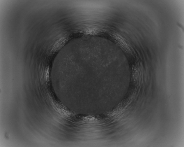 X0000097820502200803281124