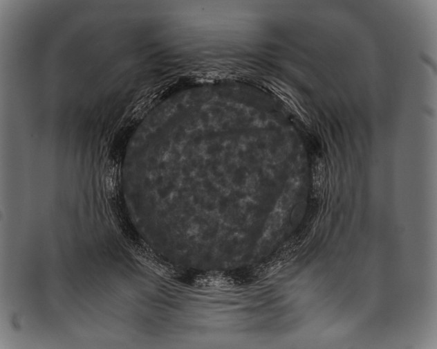 X0000097820503200803281124