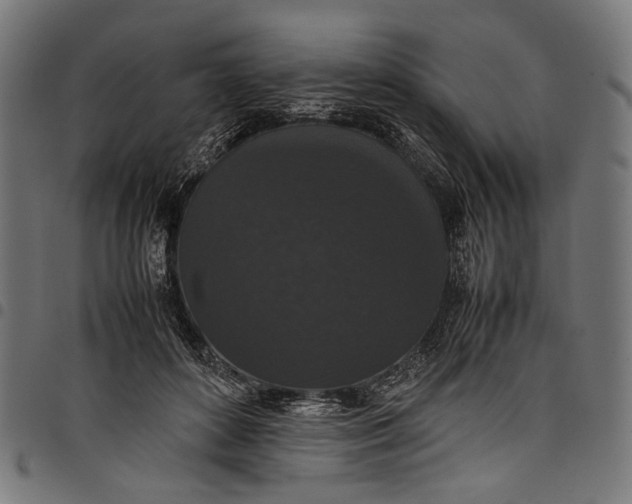 X0000097820504200803281124