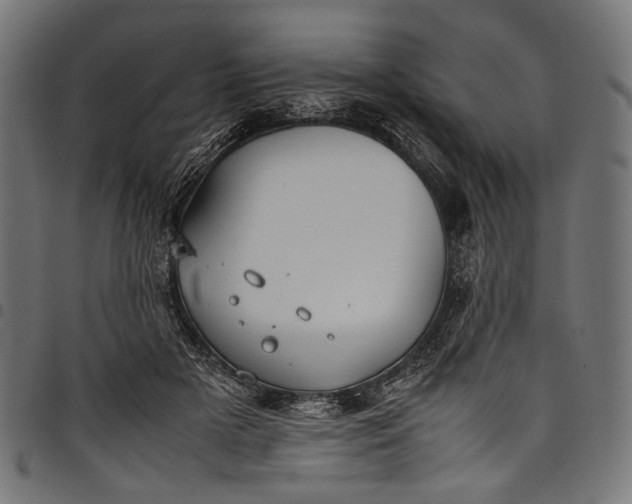 X0000097820505200803281124