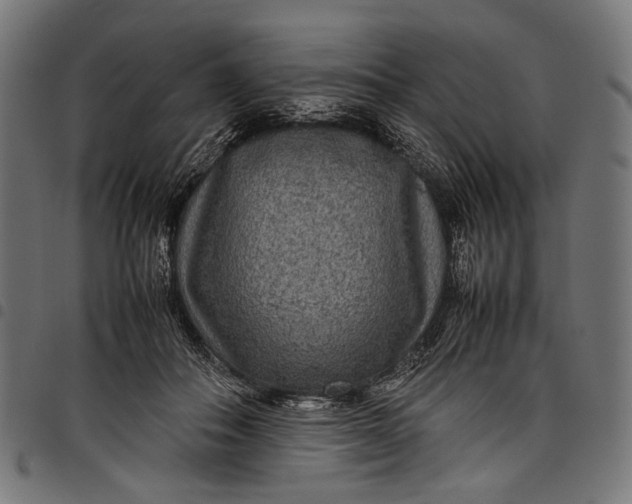 X0000097820506200803281124