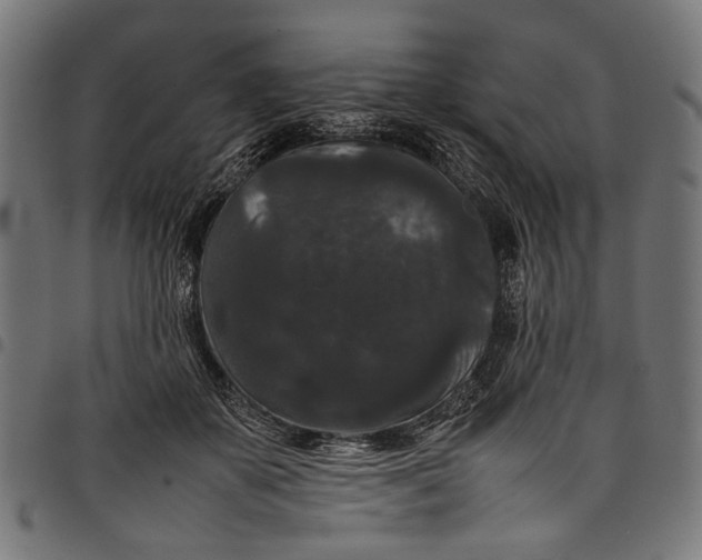 X0000097820507200803281124