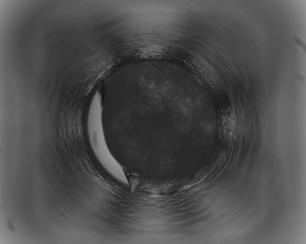 X0000097820508200803281124