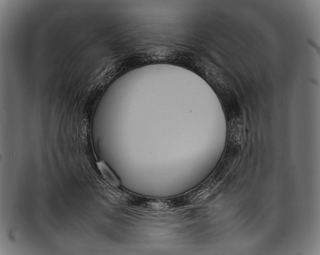 X0000097820509200803281124