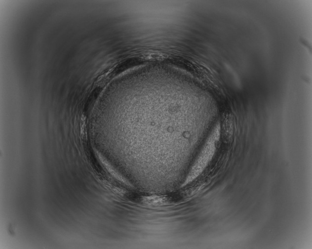 X0000097820511200803281124