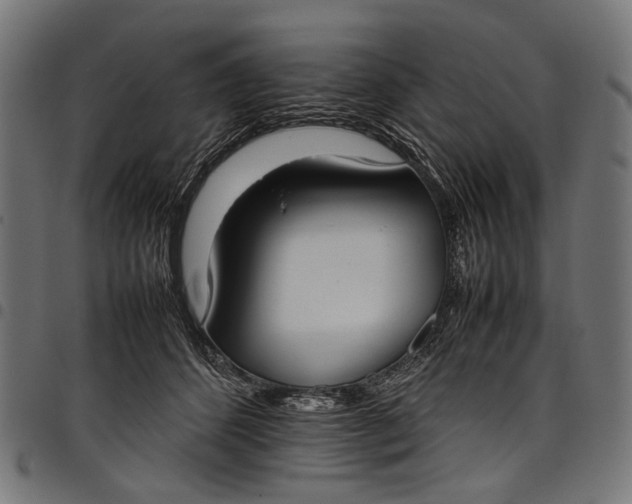 X0000097820512200803281124