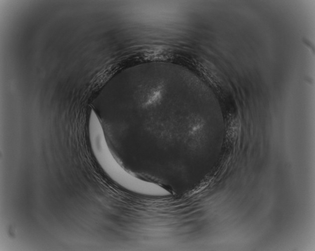 X0000097820513200803281124