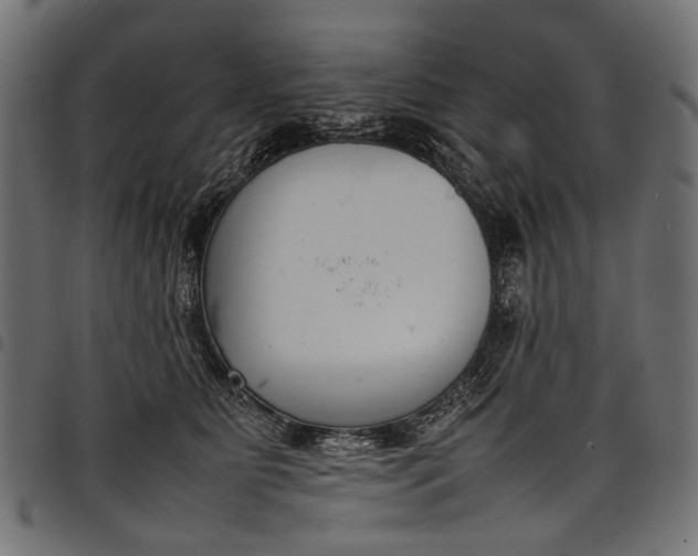 X0000097820515200803281124