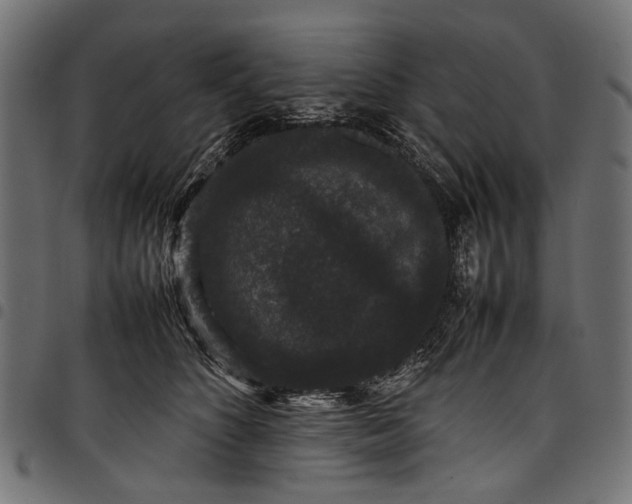 X0000097820516200803281124