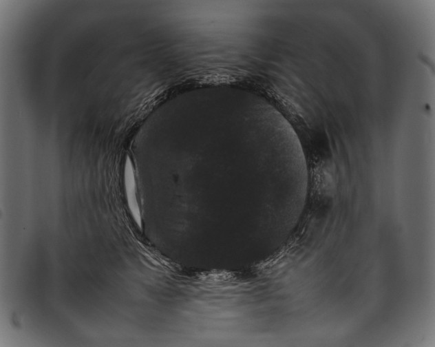 X0000097820517200803281124