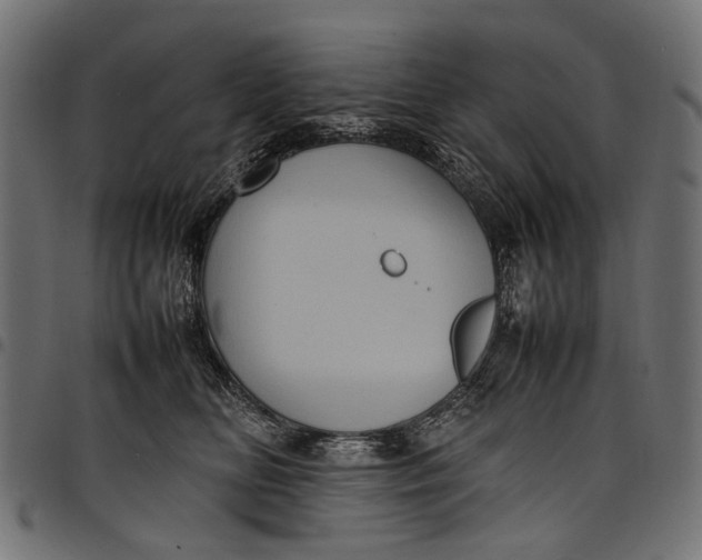 X0000097820518200803281124